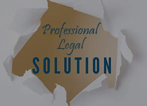 professional-legal-solution